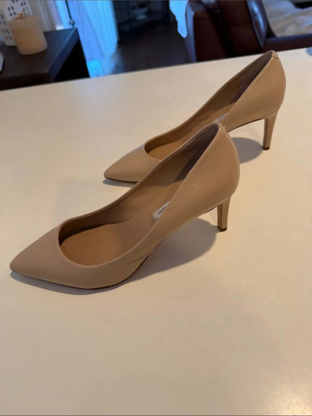 Diane Von Furstenberg Nude Pointed-Toe Leather Pumps